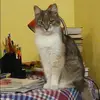 Отзыв от Кристина Латышева